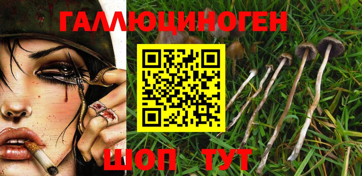 Псилоцибиновые грибы Psilocybe  Галлюциногенные грибы ЛСД  Коломна  Вход с VPN 