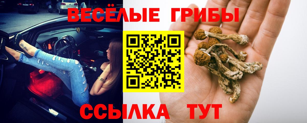 Псилоцибиновые грибы мухоморы Коломна